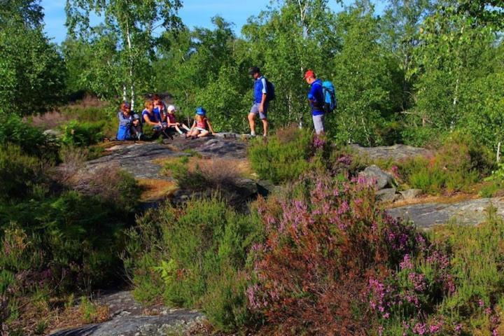 Camping Marvilla Parks -Parc Des Roches 91530 Saint-Chéron 外观 照片